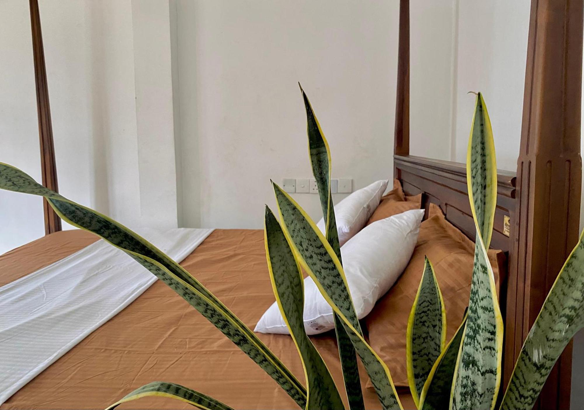 Sasmika Villa Surf And Yoga Hostel Weligama Εξωτερικό φωτογραφία